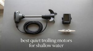 best quiet trolling motors for shallow water